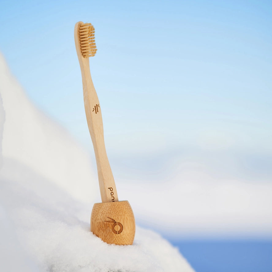 bamboo toothbrush