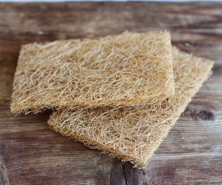 Safix sponge made from coconut fibers